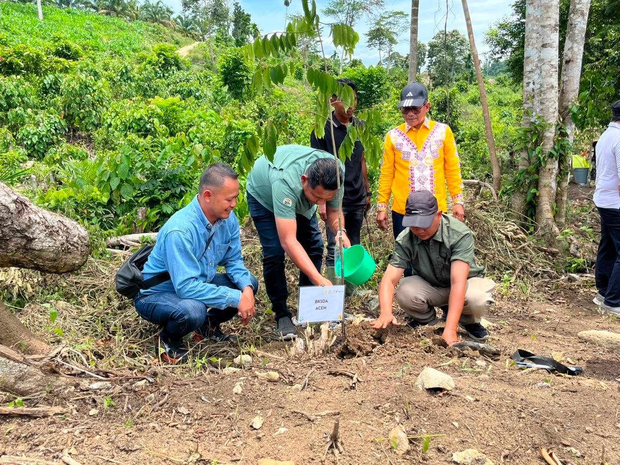 PHE NSO Mengembalikan Jalan Pulang Gajah Melalui Restorasi Lahan Kritis di Aceh Utara