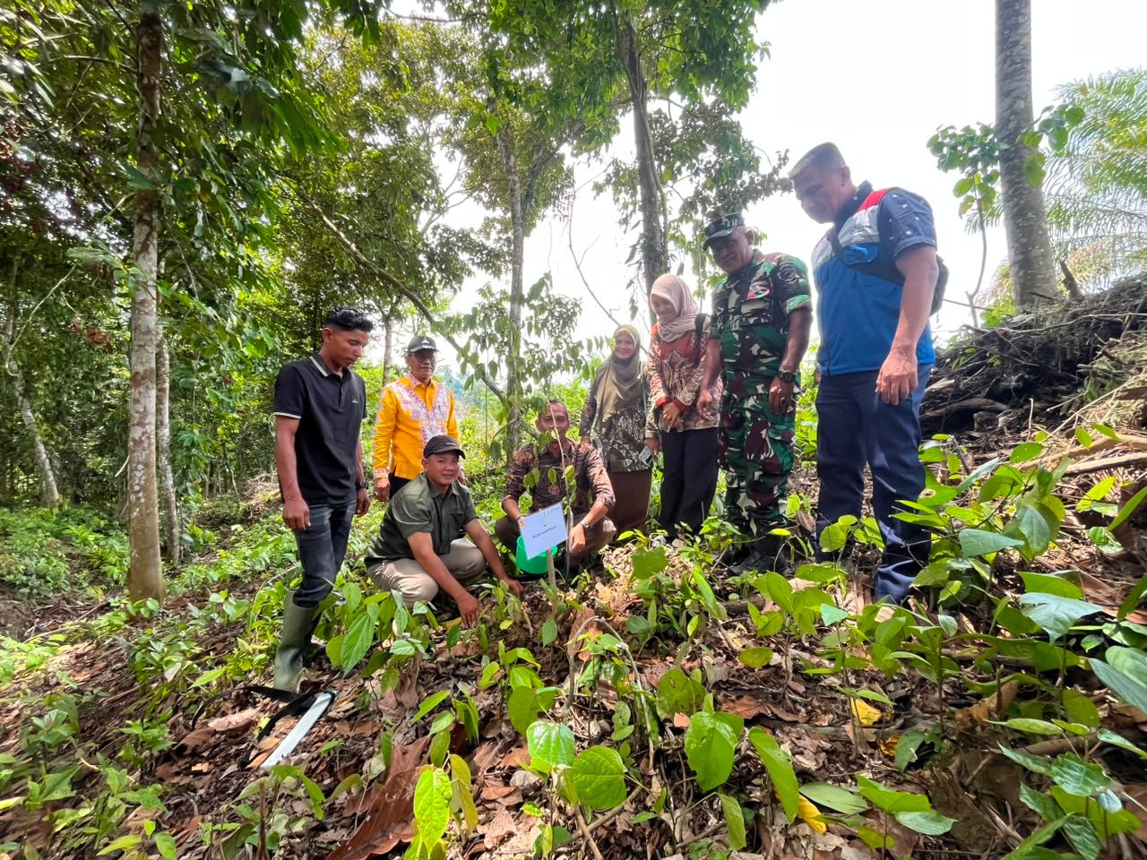 Pemkab Aceh Utara, PHE NSO, LPLHa dan Warga Tanam Pohon di Stasiun KEHATI Cot Girek